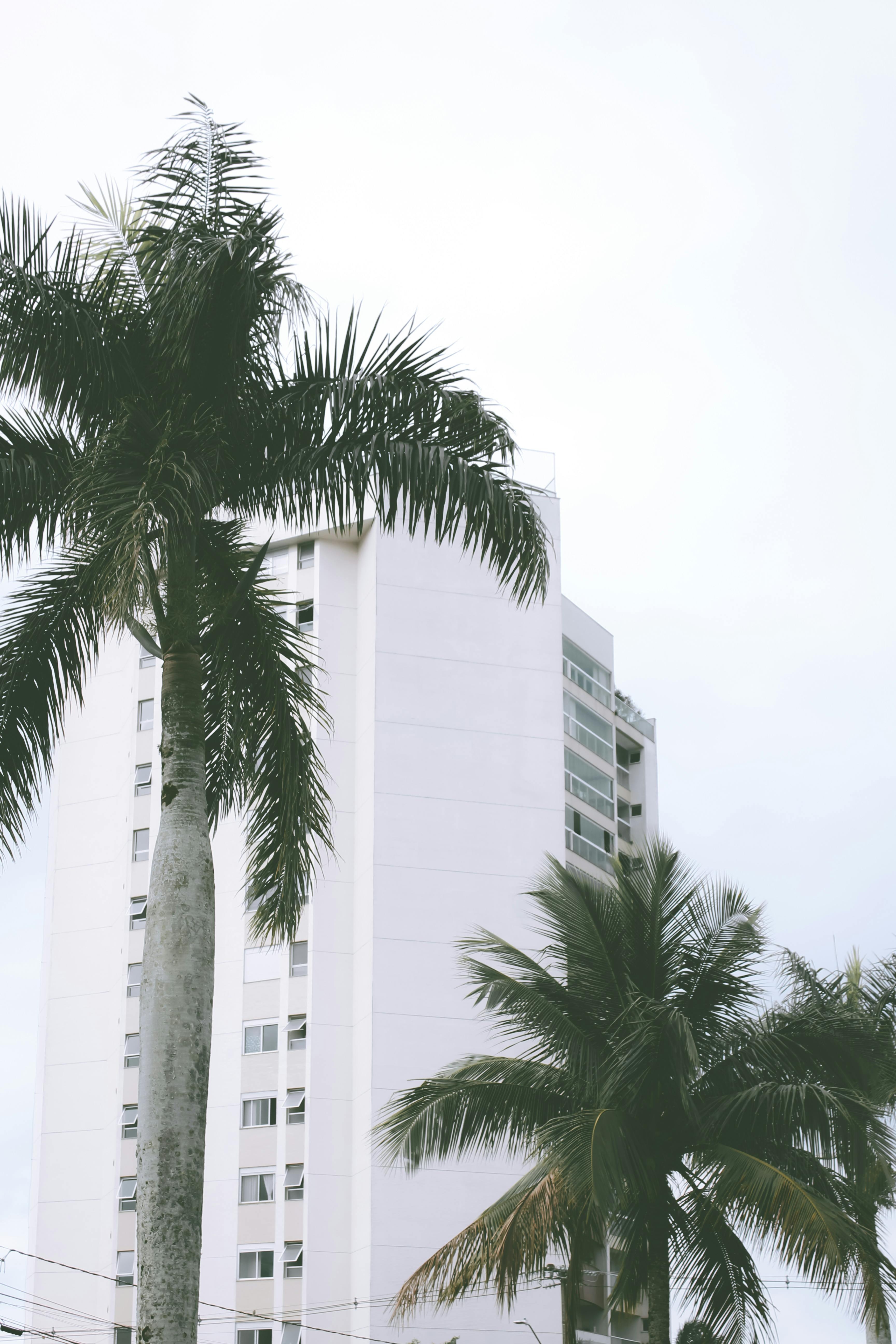 curiosidades-fascinantes-sobre-paranagu