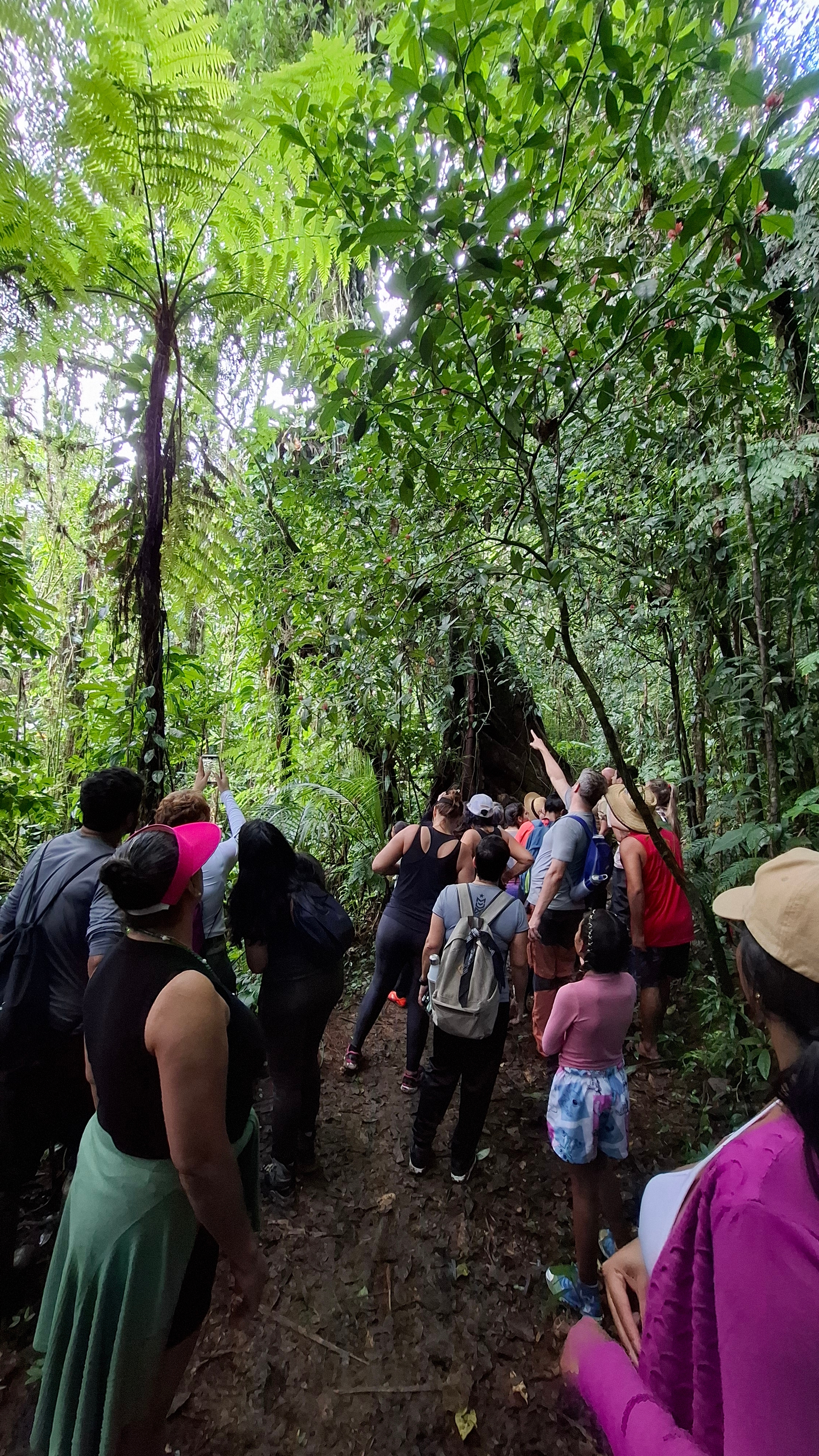 trilhas-da-ilha-do-mel