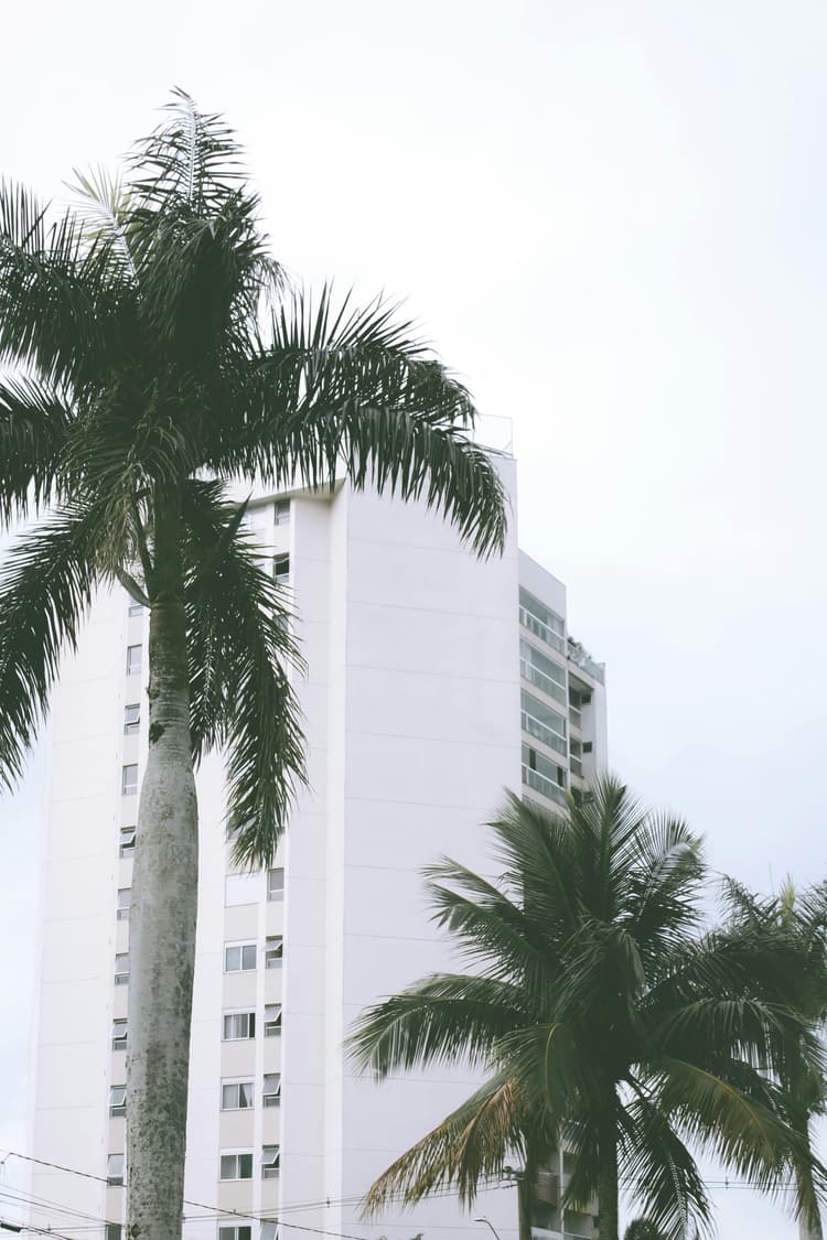 Curiosidades fascinantes sobre Paranaguá