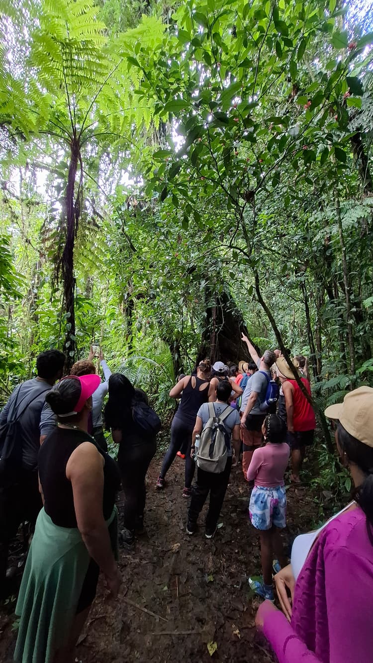 Trilhas da Ilha do Mel